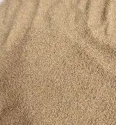 沙尔克队员集体罢赛，教练沉默无语